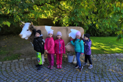 IMG_20181004_094635_result