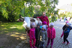 IMG_20181004_094713_result