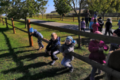 IMG_20181004_103944_result