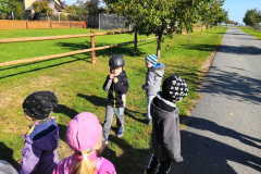 IMG_20181004_104643_result