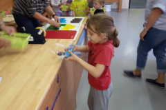 IMG_20190425_103759