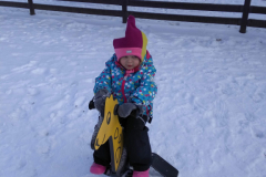 IMG_20210212_110328
