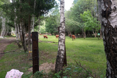 IMG_20190613_151731