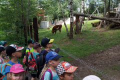 IMG_20190613_151910