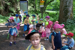 IMG_20190613_152938