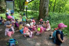 IMG_20190613_152943
