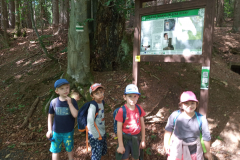 IMG_20190613_154058