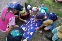 IMG_20190613_162952