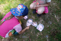 IMG_20190613_163036