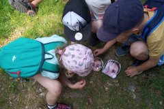 IMG_20190613_163104