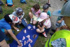 IMG_20190613_163536