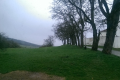 IMAG1546