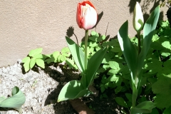 IMAG1722