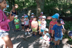 IMG_20190618_093751