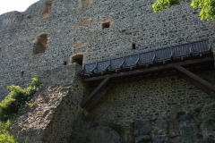IMG_20190618_100346