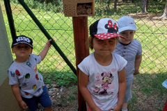 IMG_20190618_112405