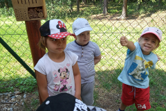 IMG_20190618_112408