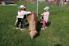 IMG_20230530_094530