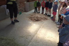 IMG_20230530_100721