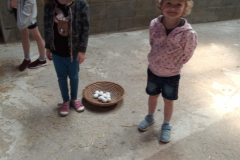 IMG_20230530_101510