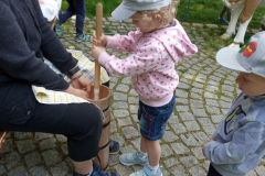 IMG_20230530_104803