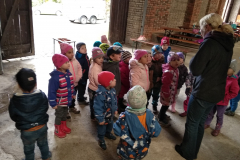 IMG_20181002_095546
