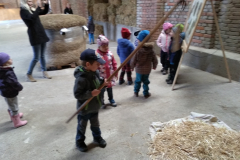IMG_20181002_100521
