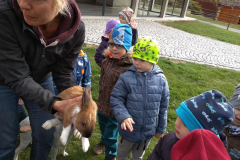 IMG_20181002_103432
