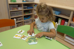 IMG_20200914_083531