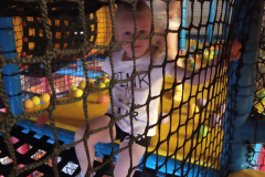 IMG_20190603_085653