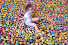 IMG_20190603_090135_BURST1