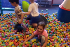 IMG_20190603_094150