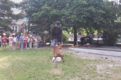 20170613_101124