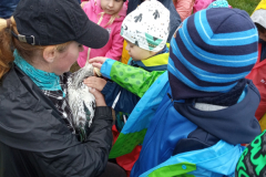 IMG_20201006_0952541