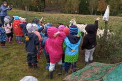 IMG_20201006_1013531