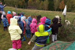 IMG_20201006_1013561