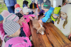 IMG_20201006_1017271