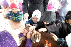 IMG_20201006_102117_HDR