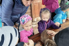 IMG_20201006_102211_HDR