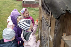 IMG_20201006_102438_HDR