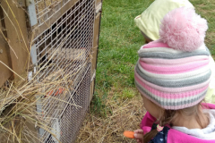 IMG_20201006_102540_HDR