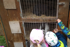 IMG_20201006_102610_HDR