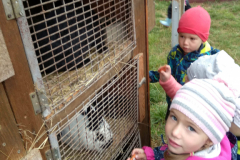 IMG_20201006_102616_HDR