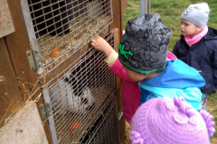 IMG_20201006_102639_HDR