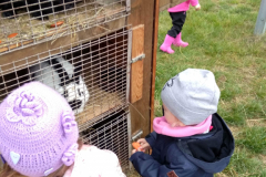 IMG_20201006_102704_HDR