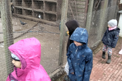 IMG_20201006_102928_HDR