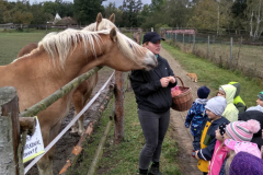 IMG_20201006_103025_HDR