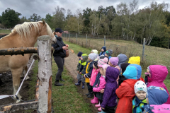 IMG_20201006_103035_HDR