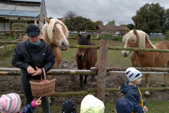 IMG_20201006_103113_HDR