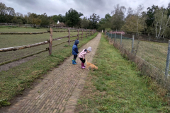 IMG_20201006_103122_HDR